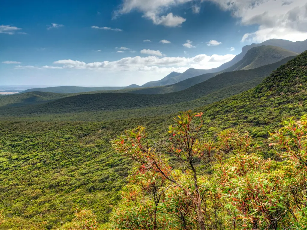 Beautiful view of the mountains in the background with forested valleys