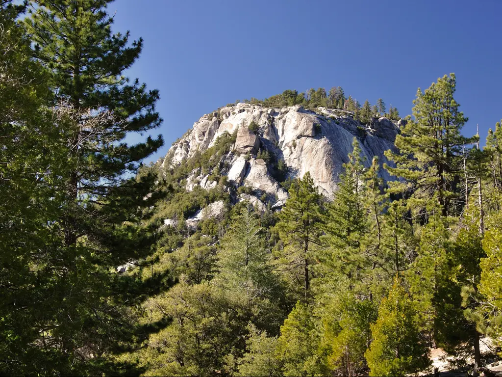 Mt San Jacinto, California, USA one of many granite peaks with trees in the foreground and a blue sky.