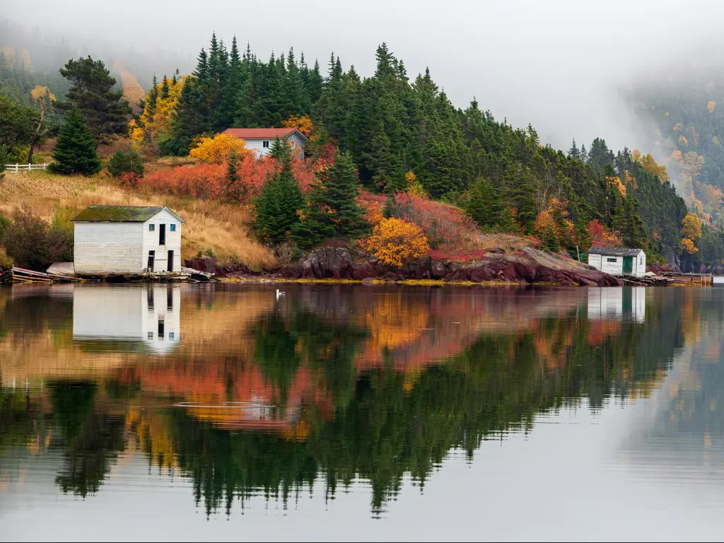 Tranquil autumn morning in Trinity Bay, Newfoundland and Labrador, Canada.