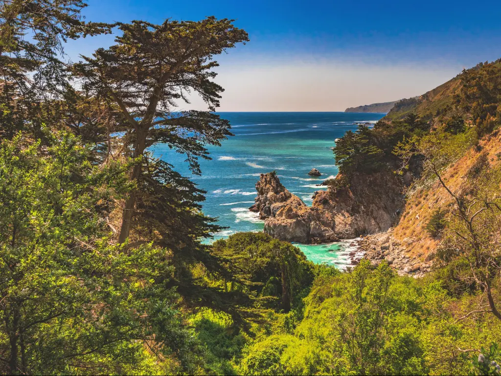 View from a hiking trail near McWay Falls at Big Sur in California on a sunny day with lush vegetation all around