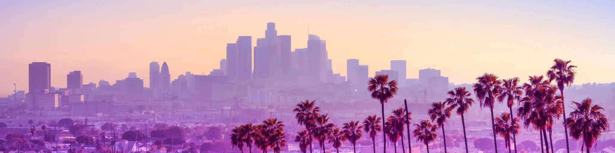 The city skyline during a colorful sunset with palm trees in the foreground