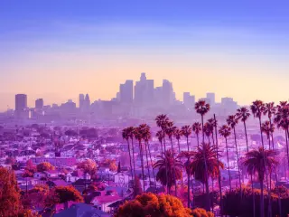 The city skyline during a colorful sunset with palm trees in the foreground