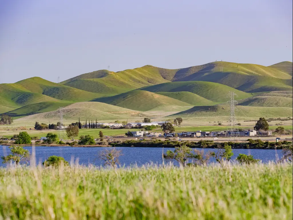 San Luis Creek, leaning to San Luis Reservoir in California near Santa Nella. Water seen through the grass.