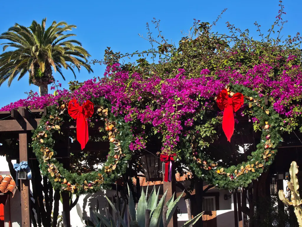 Christmas wreath decorations with purple flowers on a sunny day