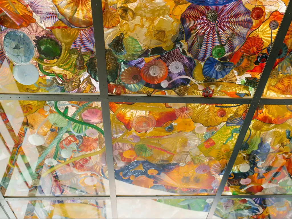 An intricate display of giant, multicolored glass flowers adorns a walkway ceiling in Tacoma's Museum of Glass