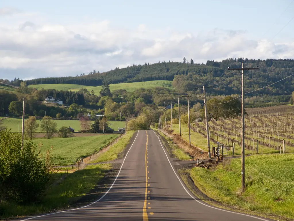 Rural highway running through vineyards in Oregon