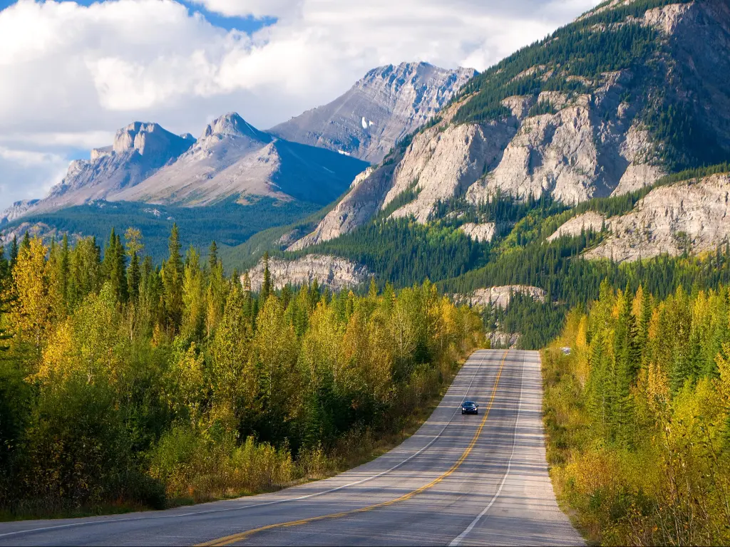 Scenic road through Jasper National Park, Canada