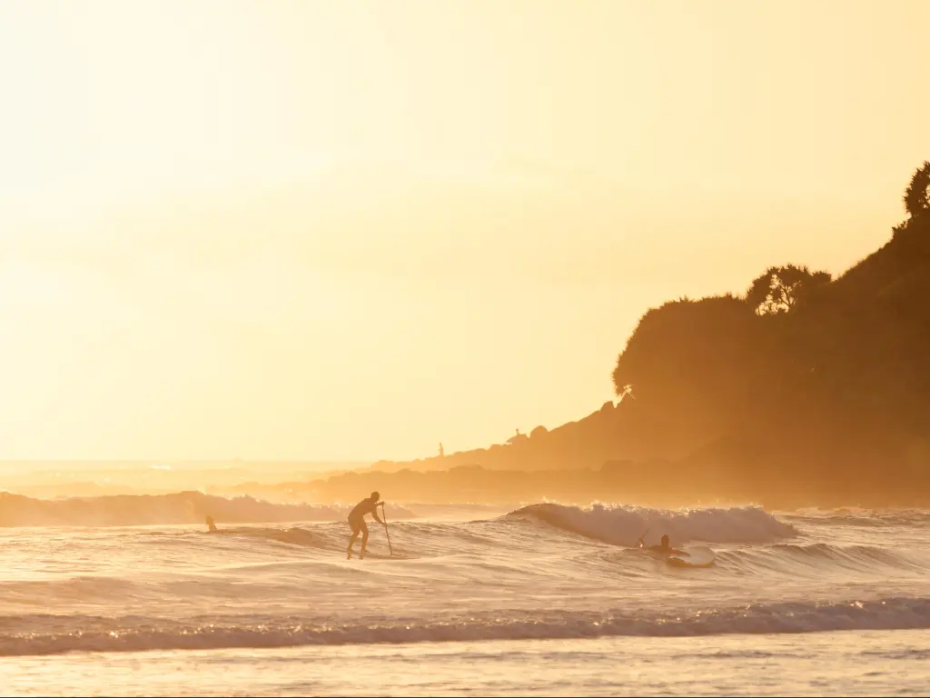 Stand up paddle surfing in the morning in Burleigh Heads (Gold Coast, QLD, Australia)