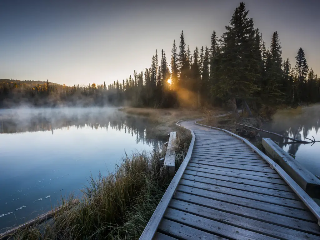 Sunset on misty Jarvis Lake with evergreen trees in the background, a wooden walkway cuts across the image