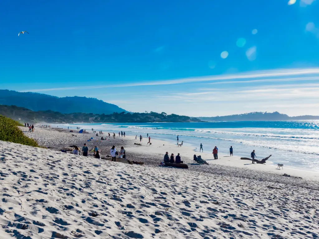 Beautiful white sand beach by the ocean with people sitting on the sand during a sunny day