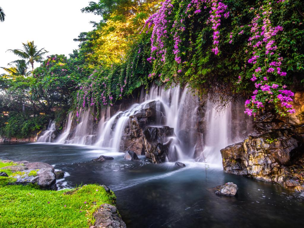 Beautiful waterfall in Hawaii with pink flowers and lush vegetation around it