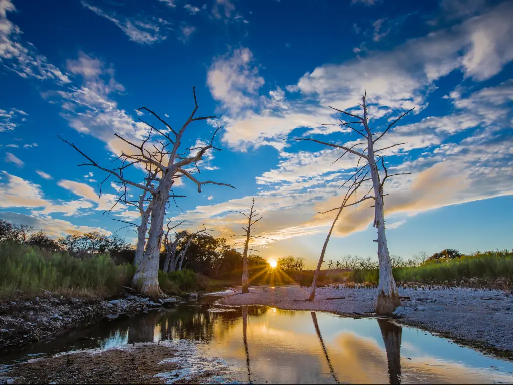 Shallow creek on the shore of Canyon Lake, with small beach area and trees with no leaves