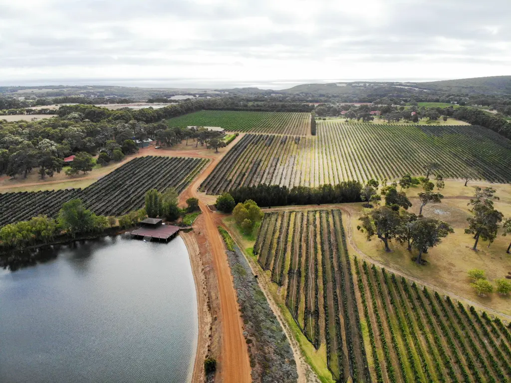 Aerial view of the vineyards