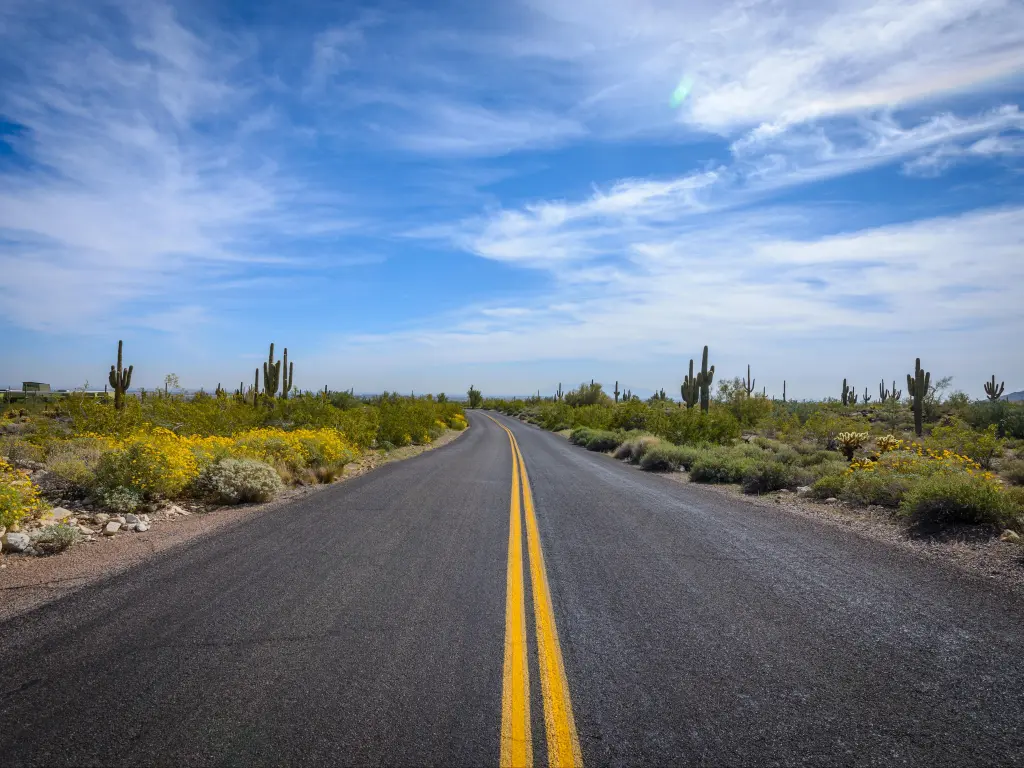 Highway with saguaro cacti lining either side, leading to White Tank Mountain Park