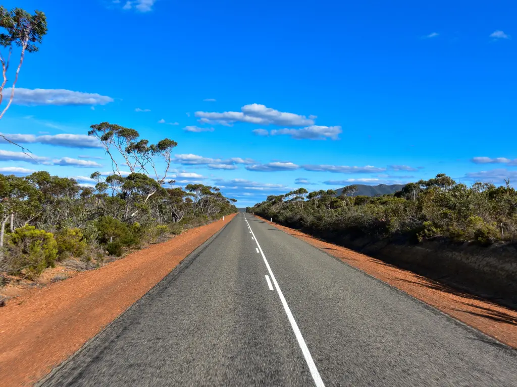 Road going through national park on a sunny day