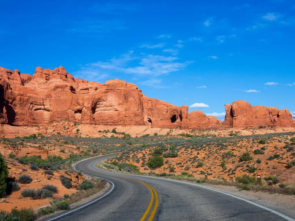 Road running through the park with stunning red rock scenery in the background