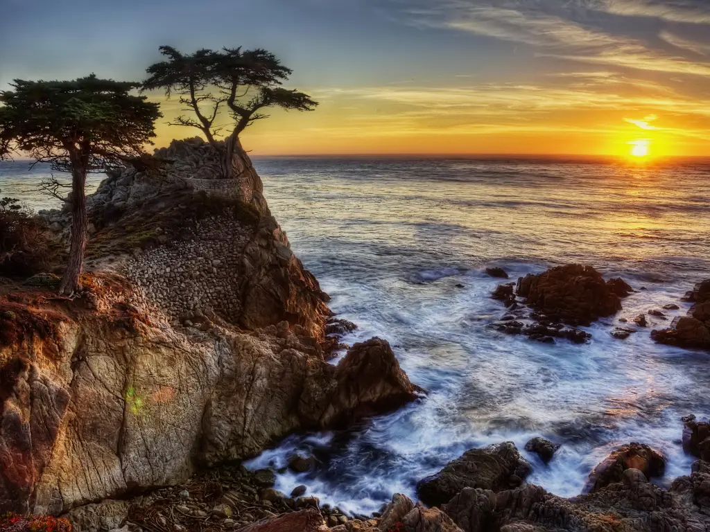 The view of a cypress tree overlooking the ocean on a cliff on its own during sunset